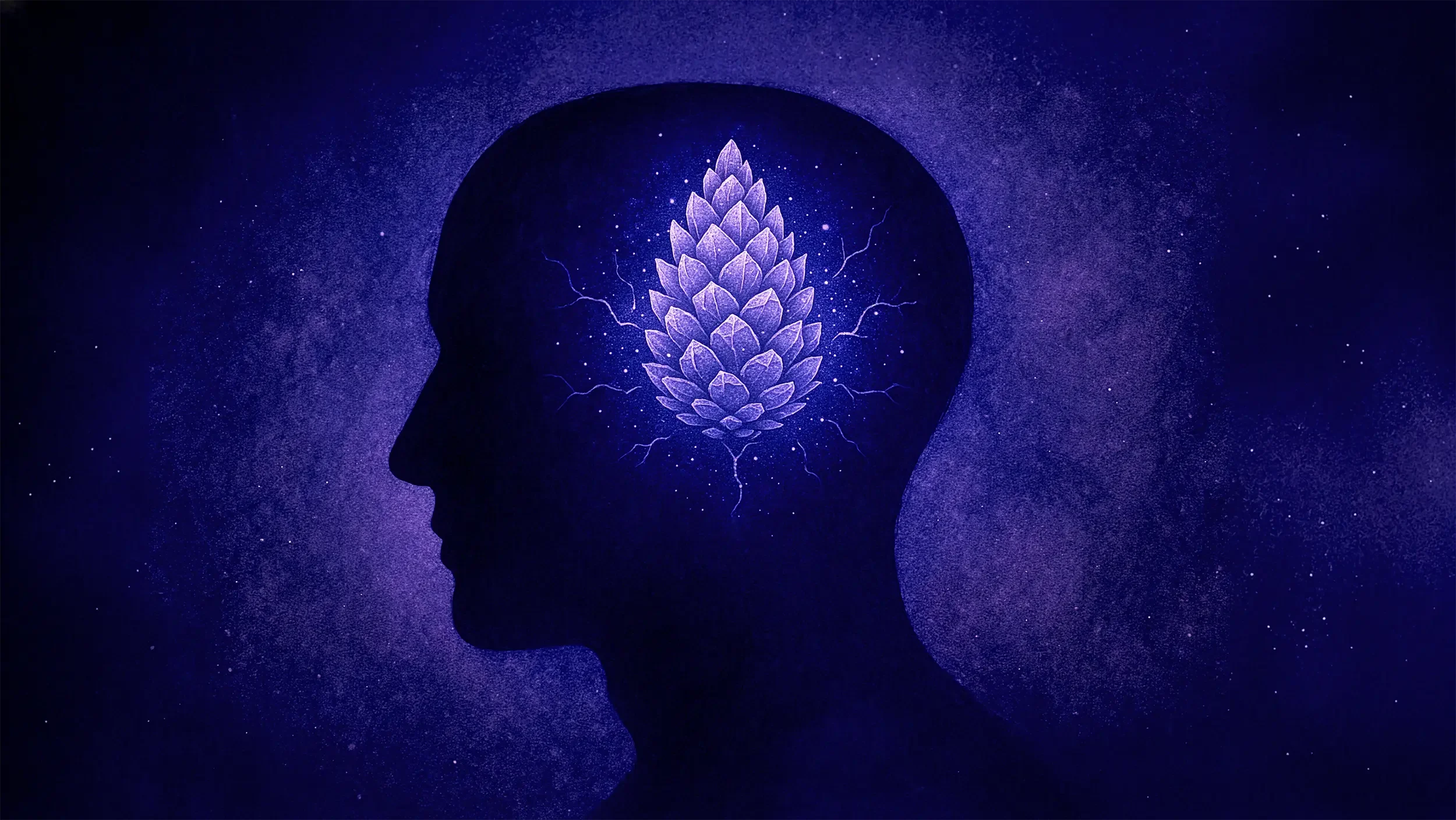 Hermetic principle of correspondence practical application - pineal gland