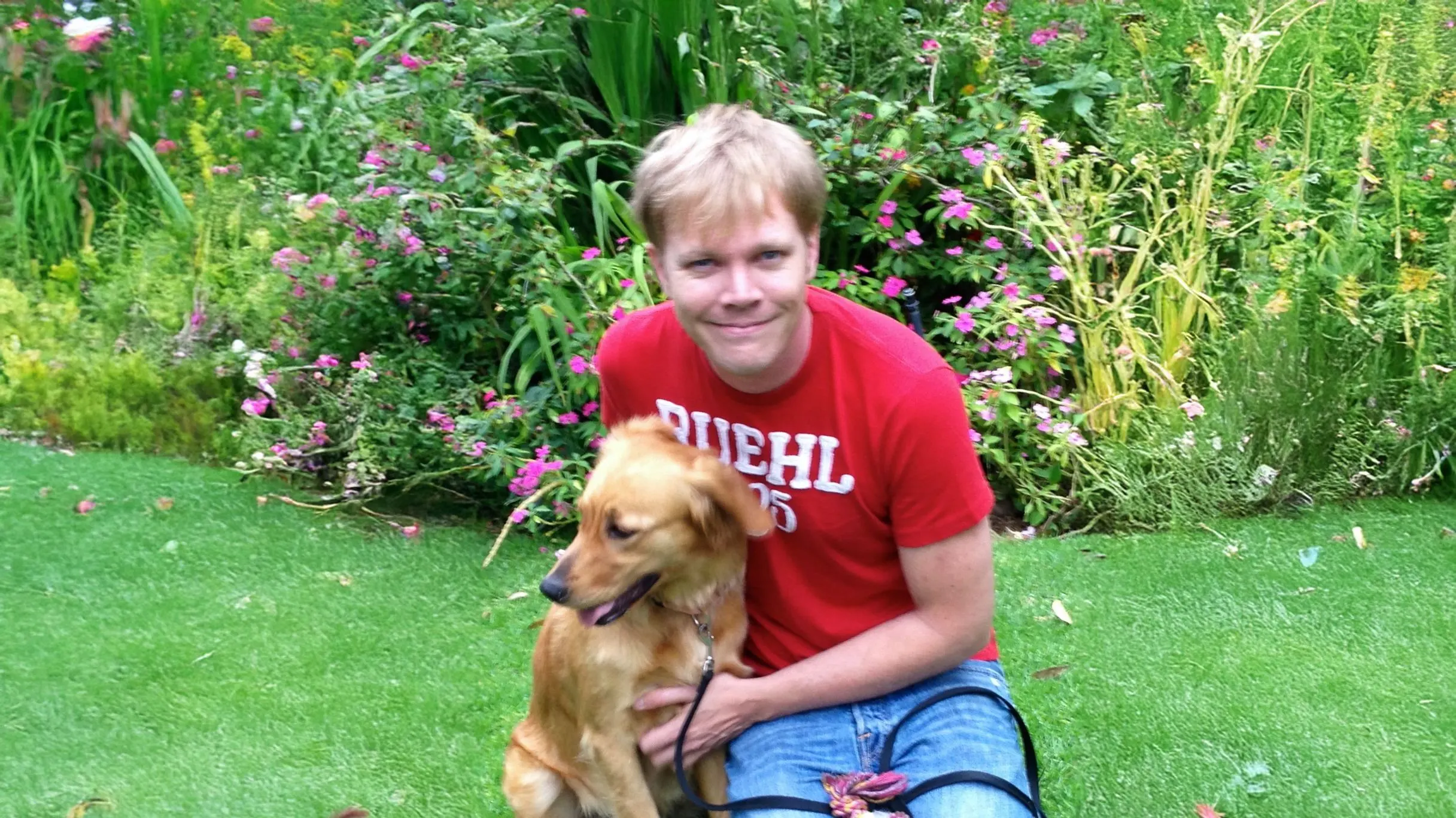 Coping with Losing a Dog