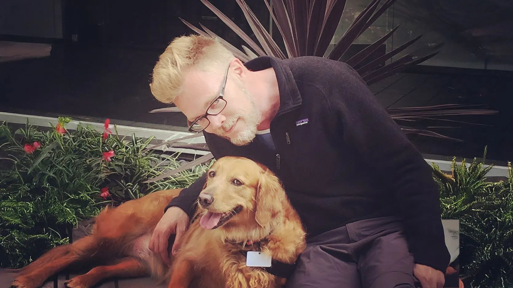 Coping with Losing a Dog