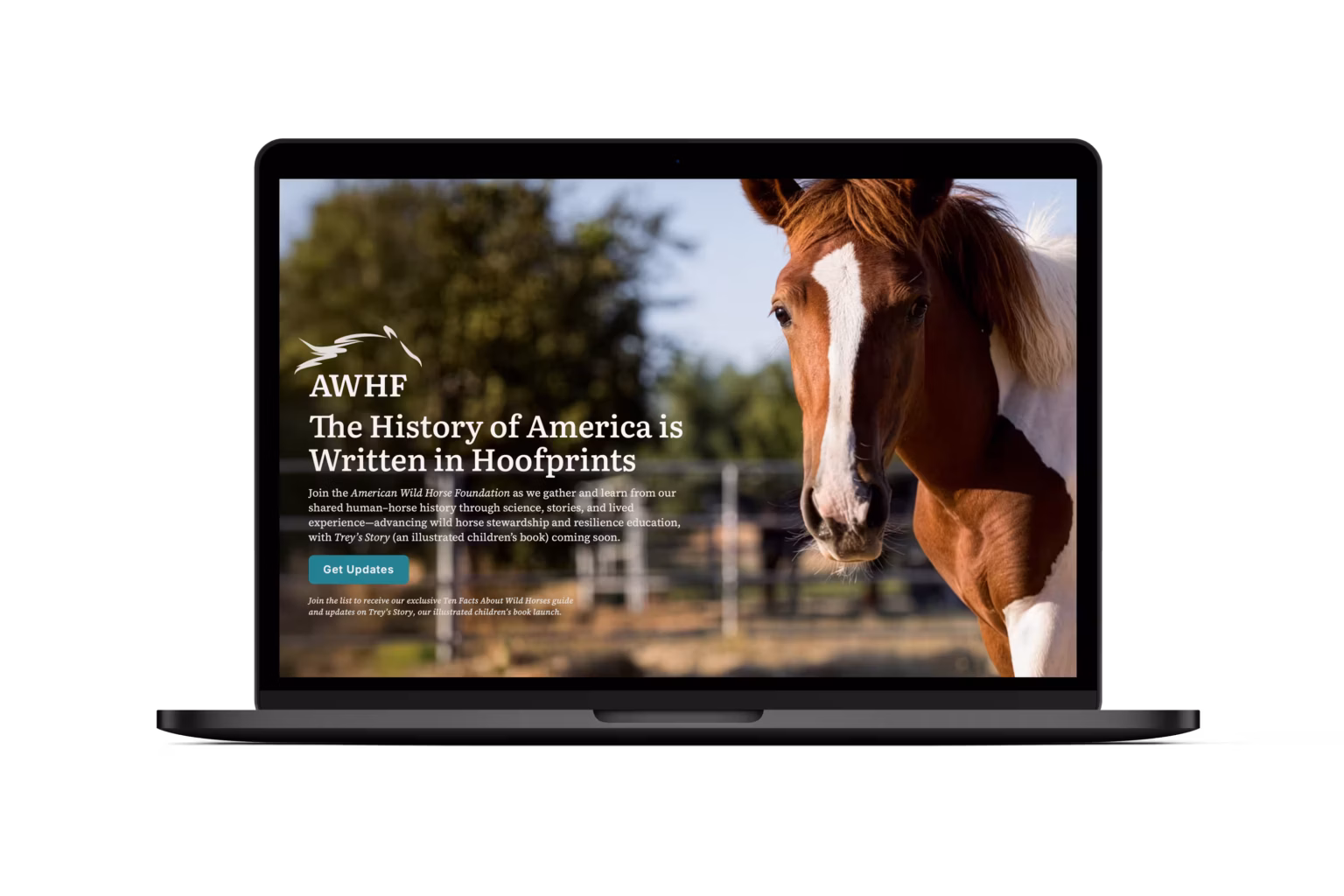 American Wild Horse Foundation